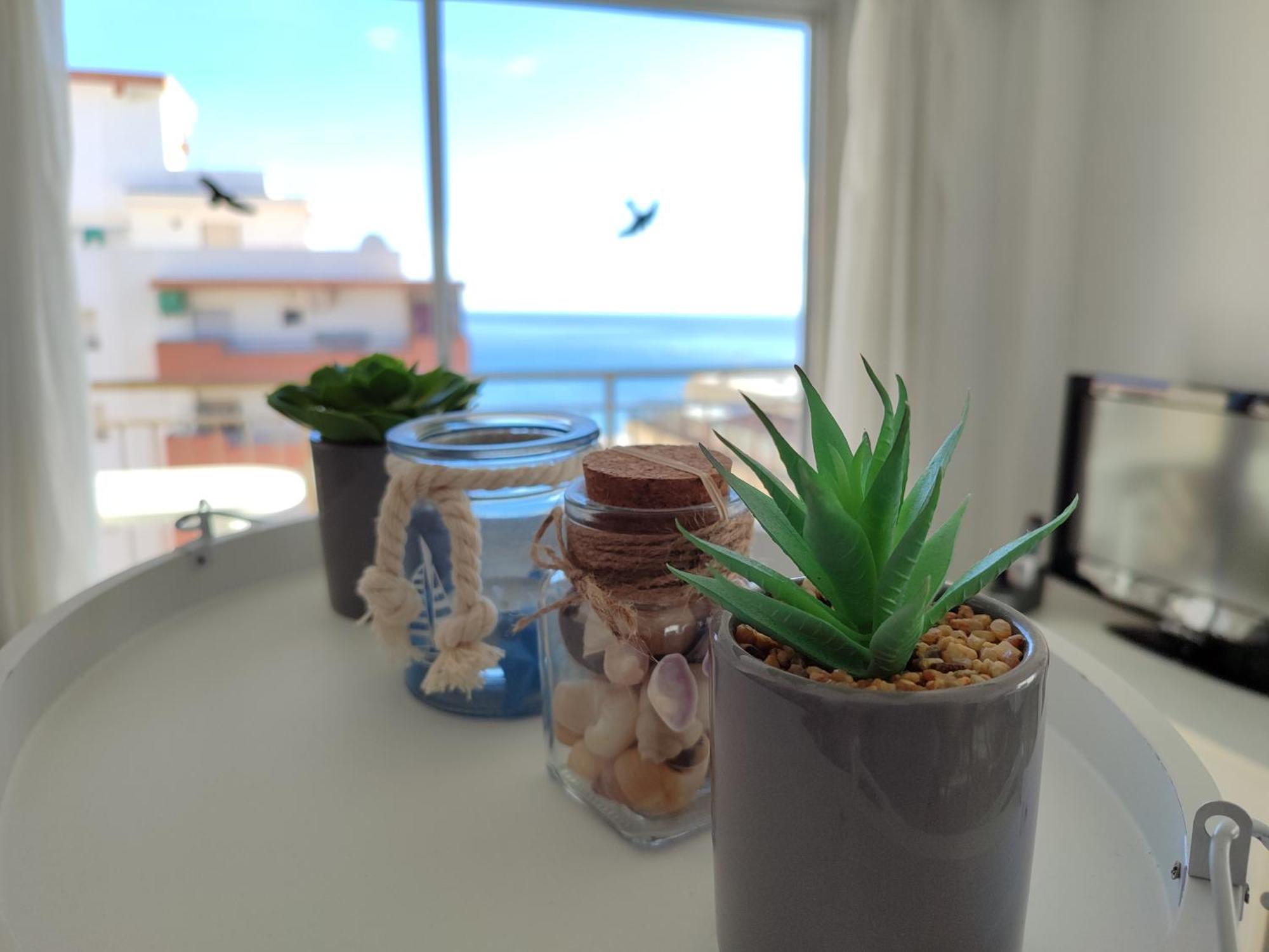 Apartment Brisa Marina *